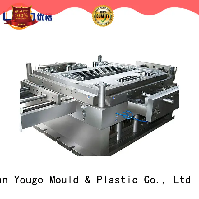 Yougo industrial mould for sale project