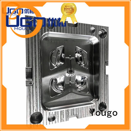 Yougo industrial molds manufacturers project