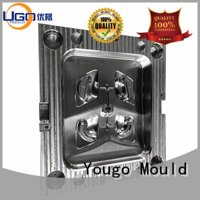 Yougo industrial moulds suppliers project