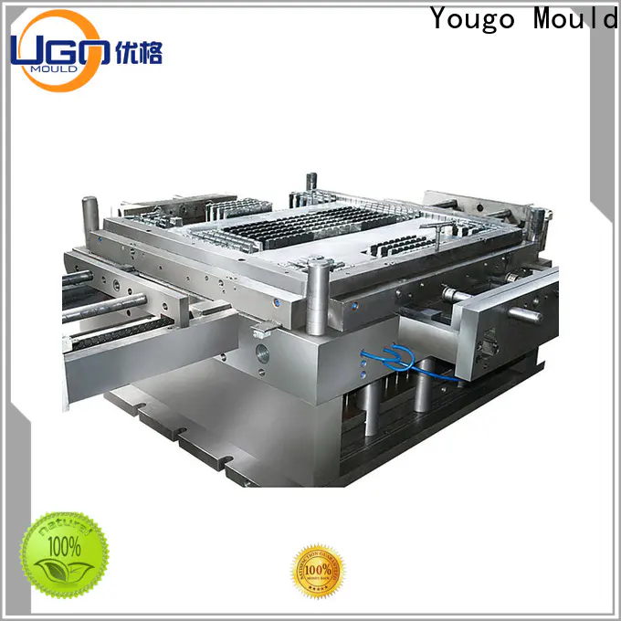 Yougo High-quality industrial mold manufacturing suppliers project