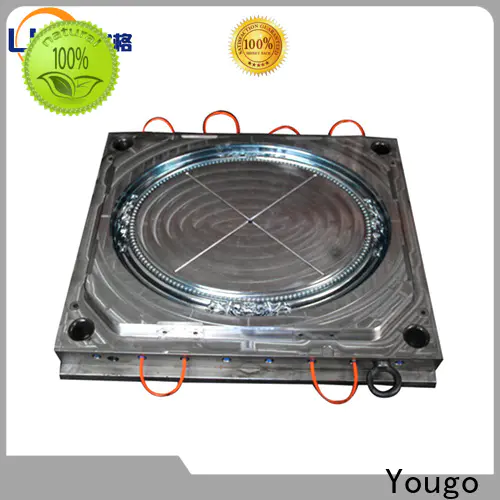 Yougo commodity mold factory for home