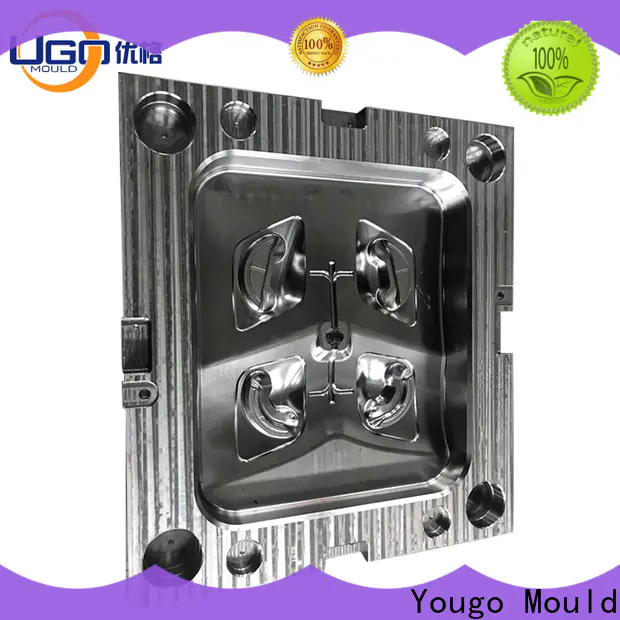 Latest industrial molds factory project
