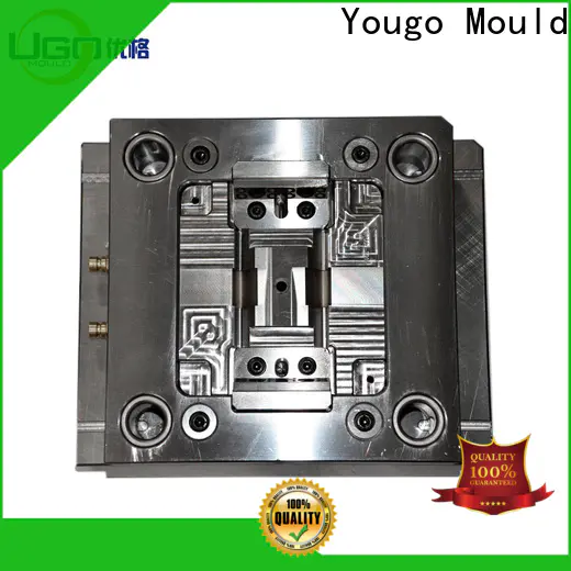 Yougo New precision mould supply