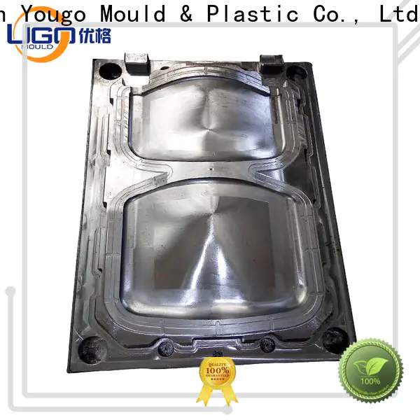 Yougo Top commodity mould manufacturers indoor