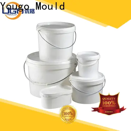 Yougo commodity mould manufacturers for house