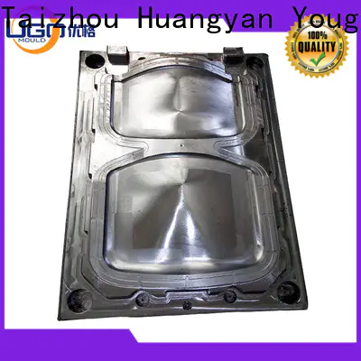 Yougo commodity mould company for house